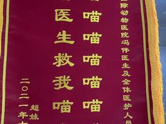 -中农国际动物医院24小时·猫科·骨科·急重症中心