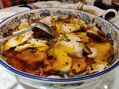 -金蝉食府(维吉奥广场店)