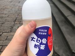 -猫的魔法密林(衣裳街店)