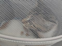 -瑞鹏宠物医院(大运分院)