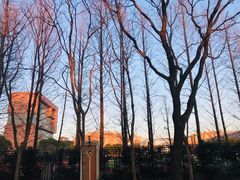 -华东师范大学第二附属中学(张江校区)