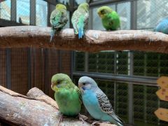 -正佳雨林生态植物园