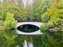 -东平国家森林公园
