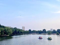 -二一九公园