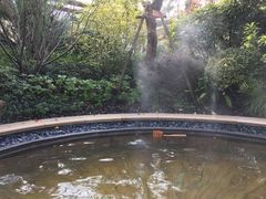 -苏州湾王焰温泉度假酒店