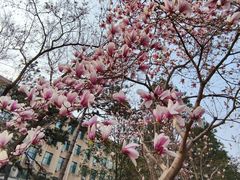 -北京大学(昌平校区)