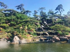 -罗红摄影艺术馆