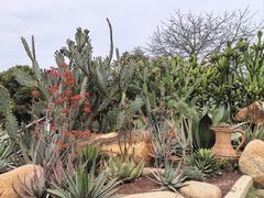 -东莞植物园