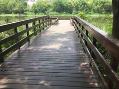 -新江湾城公园