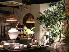 -自由生长植物工作室(深港花卉中心店)