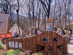 -沂蒙山旅游区云蒙景区(蒙山国家森林公园)