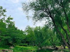 -上海滨江森林公园