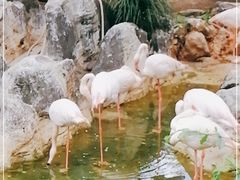 -昆明动物园