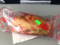 -盖达尔·阿利耶夫国际机场