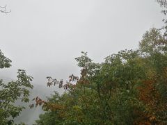 -牛背梁国家森林公园