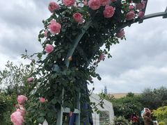 -三圣花乡旅游区