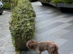 -中信银行(中信泰富广场支行)