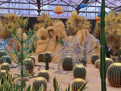 -南宫五洲植物乐园