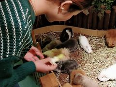 -藦茜花园宠物主题亲子互动体验馆(国顺东路店)
