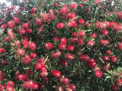 -桤木河湿地公园