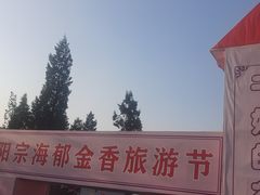 -阳宗海湿地