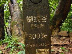 -梧桐山风景名胜区