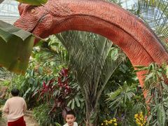 -沈阳植物园