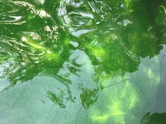 -太白山御龙湾温泉