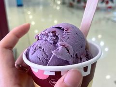 -哈根达斯(皇城恒隆广场店)