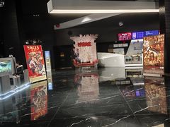 -奥斯卡升龙国际影城(RealD Cinema)