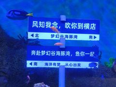 -横店影视城梦幻谷园区