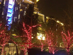 酒店-常州环球恐龙城维景国际大酒店