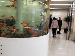 -泰州市人民医院(总院区)