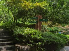 -杭州半山国家森林公园