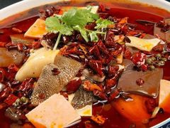 -佶政筋饼·新概念(安阳路店)