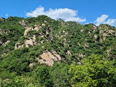 -大岭沟猕猴桃谷风景区