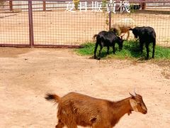 -太原动物园