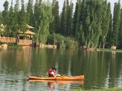 -秀丽东方