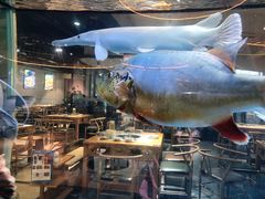-程记私房火锅兔(总店)