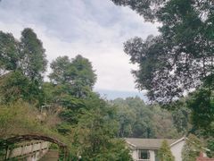 -都江堰普照寺