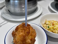 -丁老爷子苏香圆