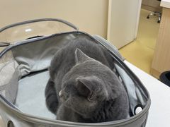-芭比堂动物医院·犬猫全科·异宠专科(雁塔分院)
