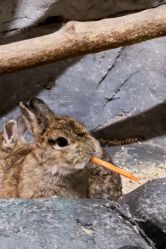 -Zoolung Zoolung动物主题公园(海信广场店)