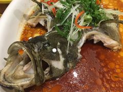 -顺德渔村·岭南一号