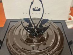 -BLACKSWAN黑天鹅(环球店)