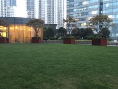 -花园5號餐厅