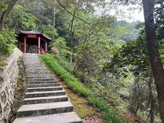 -黄埔油麻山森林公园
