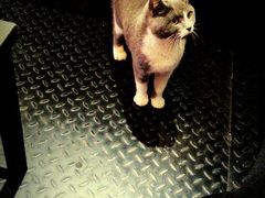 android_upload_pic-MIKAKU(万达广场上海宝山店)