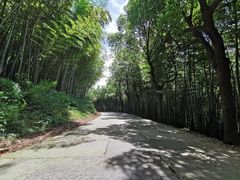 -达蓬山旅游度假区
