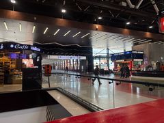 -谢列梅捷沃国际机场